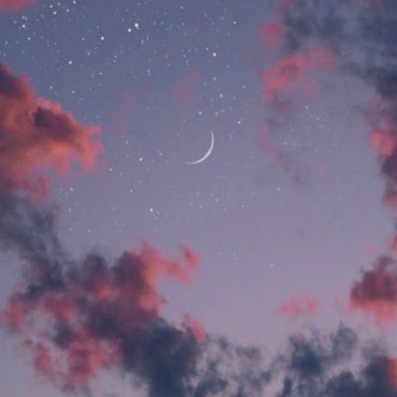 Meet your Posher, Abisekka - Picture 1 of 1